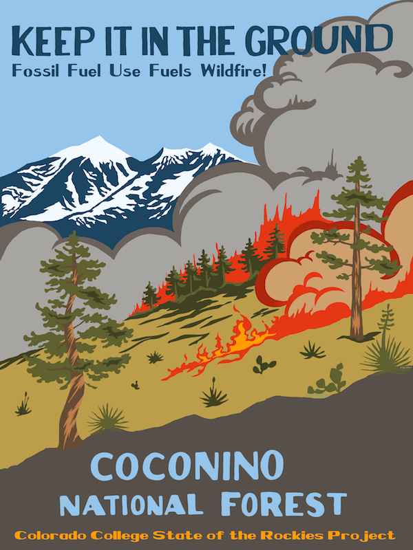 Coconino Natl Forest Vintage Poster